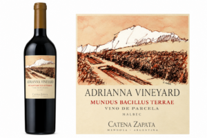 Bodega Catena Zapata : "Adrianna Mundus Bacillus Terrae" Malbec 2019